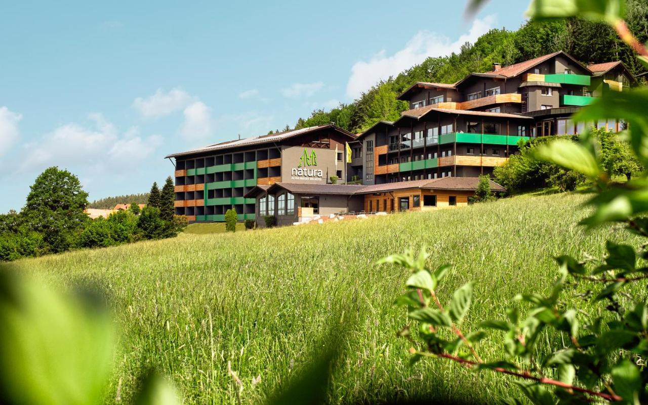 Natura Hotel Bodenmais - Inkl Soft- Und Heissgetraenkeflat Exterior photo